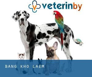 โรงพยาบาลสัตว์ ดีรักษ์ (Bang Kho Laem)