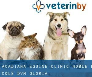 Acadiana Equine Clinic: Noble E Cole DVM (Gloria)