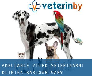 Ambulance Vítek - Veterinární Klinika (Karlowe Wary)