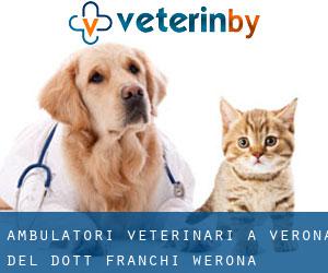 Ambulatori Veterinari a Verona del dott. Franchi (Werona)