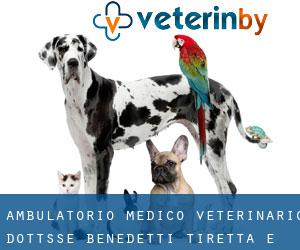 Ambulatorio Medico Veterinario Dott.Sse Benedetti, Tiretta E Lazzeri (Capannori)