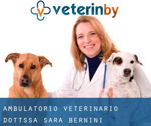 AMBULATORIO VETERINARIO Dott.ssa SARA BERNINI (Giulianova)