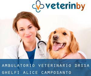 Ambulatorio Veterinario Dr.ssa Ghelfi Alice (Camposanto)