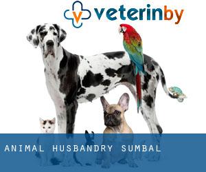 Animal Husbandry (Sumbal)