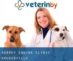 Aubrey Equine Clinic (Krugerville)