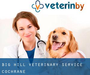 Big Hill Veterinary Service (Cochrane)