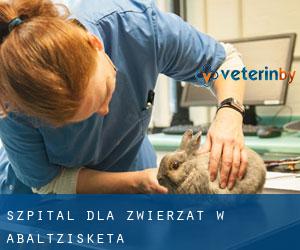 Szpital dla zwierząt w Abaltzisketa