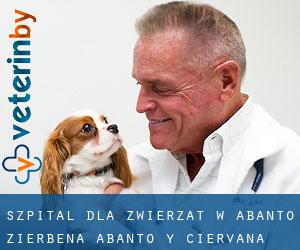 Szpital dla zwierząt w Abanto Zierbena / Abanto y Ciérvana