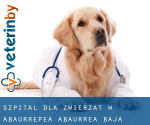 Szpital dla zwierząt w Abaurrepea / Abaurrea Baja