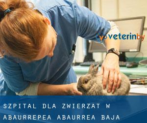 Szpital dla zwierząt w Abaurrepea / Abaurrea Baja