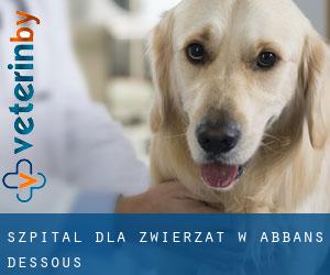 Szpital dla zwierząt w Abbans-Dessous
