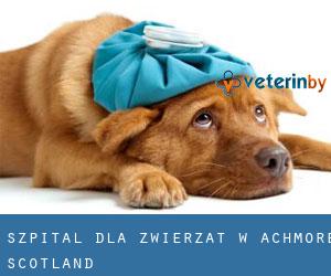 Szpital dla zwierząt w Achmore (Scotland)