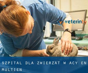 Szpital dla zwierząt w Acy-en-Multien