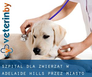 Szpital dla zwierząt w Adelaide Hills przez miasto - strona 1