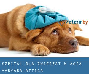 Szpital dla zwierząt w Agía Varvára (Attica)
