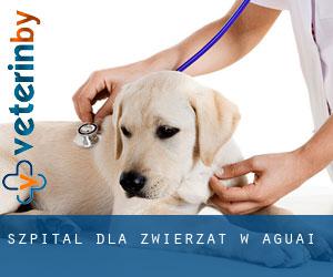 Szpital dla zwierząt w Aguaí