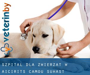 Szpital dla zwierząt w Aïcirits-Camou-Suhast