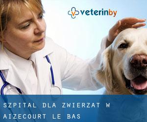 Szpital dla zwierząt w Aizecourt-le-Bas
