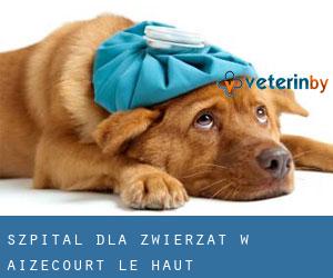 Szpital dla zwierząt w Aizecourt-le-Haut