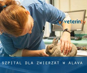 Szpital dla zwierząt w Alava