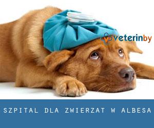 Szpital dla zwierząt w Albesa