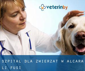 Szpital dla zwierząt w Alcara li Fusi