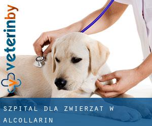 Szpital dla zwierząt w Alcollarín