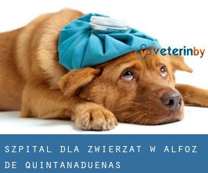 Szpital dla zwierząt w Alfoz de Quintanadueñas