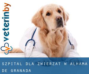 Szpital dla zwierząt w Alhama de Granada