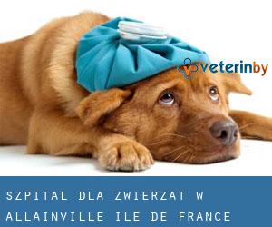 Szpital dla zwierząt w Allainville (Île-de-France)