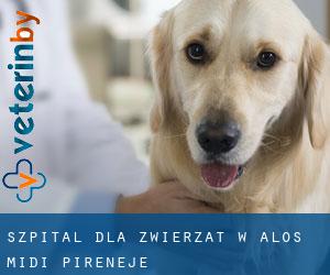 Szpital dla zwierząt w Alos (Midi-Pireneje)