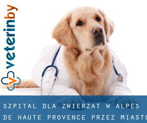 Szpital dla zwierząt w Alpes-de-Haute-Provence przez miasto - strona 1
