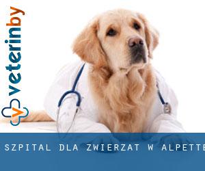 Szpital dla zwierząt w Alpette