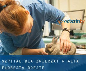 Szpital dla zwierząt w Alta Floresta d'Oeste