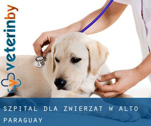 Szpital dla zwierząt w Alto Paraguay