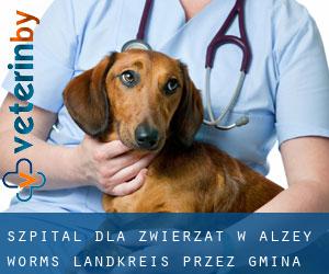 Szpital dla zwierząt w Alzey-Worms Landkreis przez gmina - strona 1
