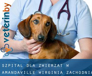 Szpital dla zwierząt w Amandaville (Wirginia Zachodnia)