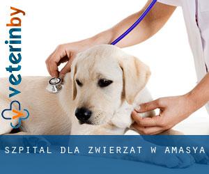 Szpital dla zwierząt w Amasya