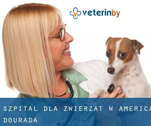 Szpital dla zwierząt w América Dourada