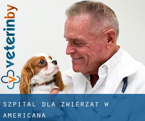Szpital dla zwierząt w Americana