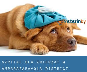 Szpital dla zwierząt w Amparafaravola District