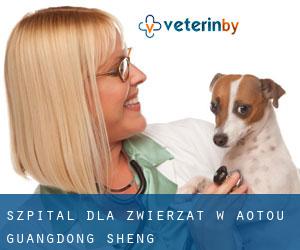 Szpital dla zwierząt w Aotou (Guangdong Sheng)