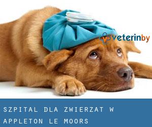 Szpital dla zwierząt w Appleton le Moors