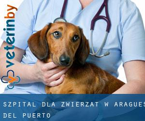 Szpital dla zwierząt w Aragüés del Puerto
