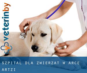 Szpital dla zwierząt w Arce / Artzi