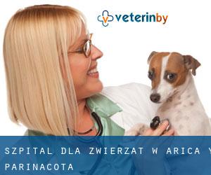 Szpital dla zwierząt w Arica y Parinacota