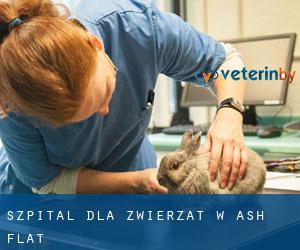 Szpital dla zwierząt w Ash Flat