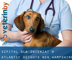 Szpital dla zwierząt w Atlantic Heights (New Hampshire)