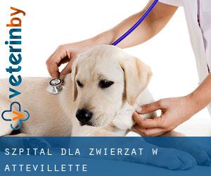 Szpital dla zwierząt w Attevillette