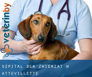 Szpital dla zwierząt w Attevillette